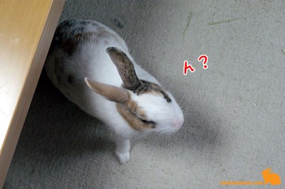 呼ばれて「ん？」