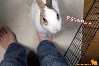 美味しいもん？