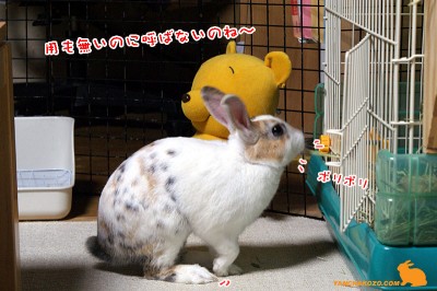 用も無いのに・・・