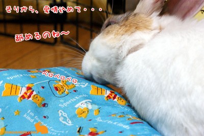 そりから、舐める