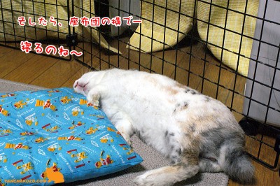 最後は横で寝る