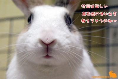 座布団の使い方講座