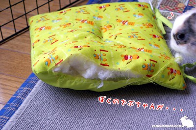 ぼくのざぶちゃんが・・・ ぼくのざぶちゃんが・・・