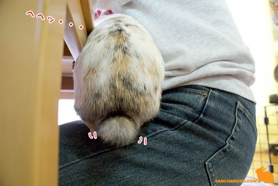 膝の上でヘヘッ