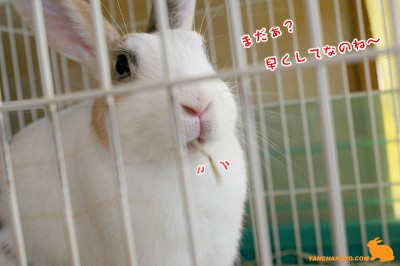 まだぁ？