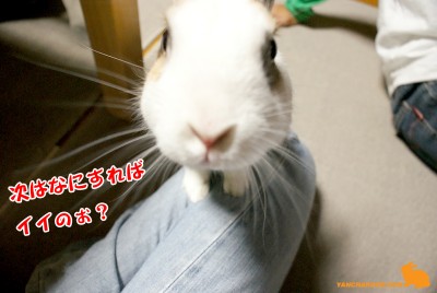 次は何を?