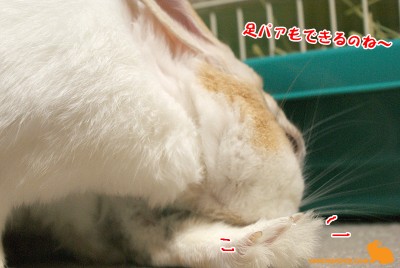 足パァ!