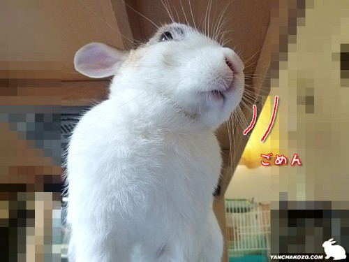 あっち見てゴメン