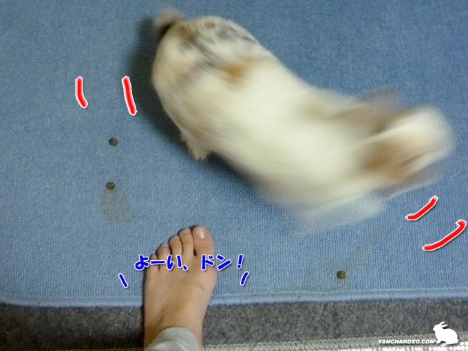 よーい、ドン！で走るよ