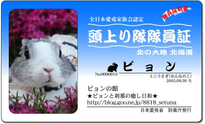 頭上り隊-ピョン