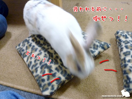 食われる前に