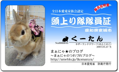 頭上り隊-くーたん