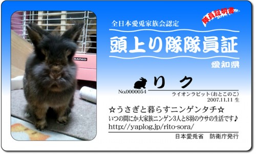 頭上がり隊-リク