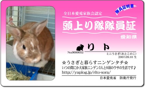 頭上がり隊-リト