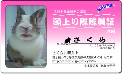 頭上り隊-さくら