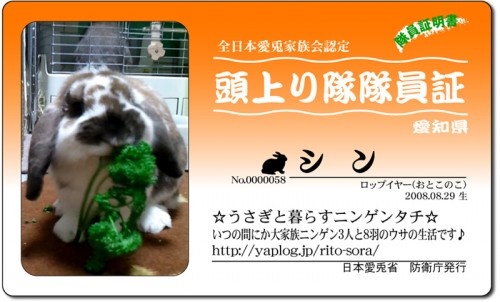 頭上がり隊-シン