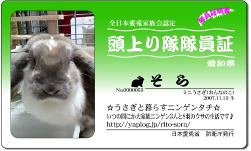 頭上がり隊-そら