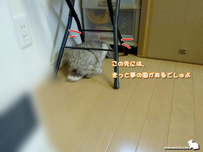 この先には…