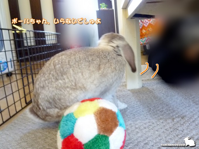 ボールちゃん、いらない