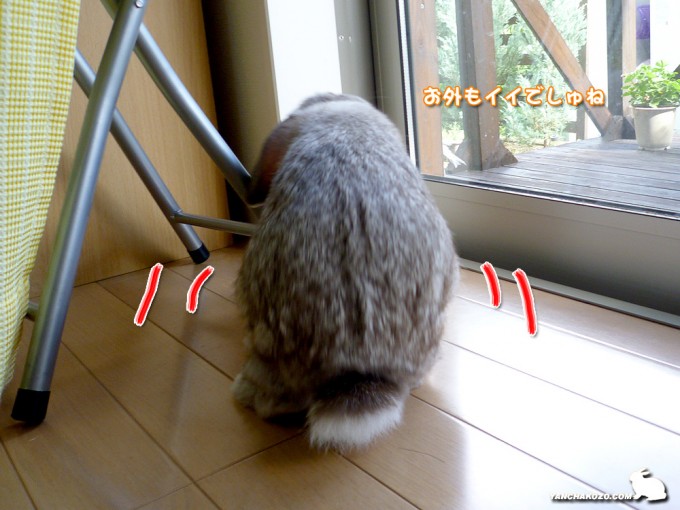 お外も良い?