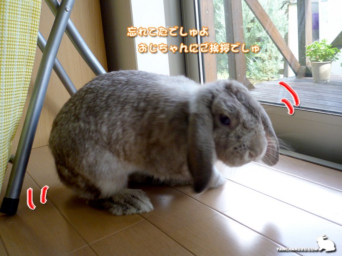 ご挨拶