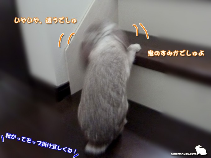 いやいや、違う！