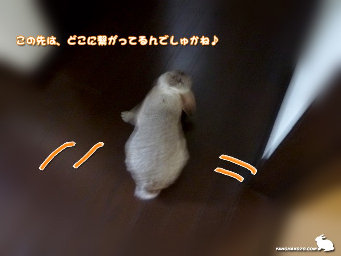 この先は…