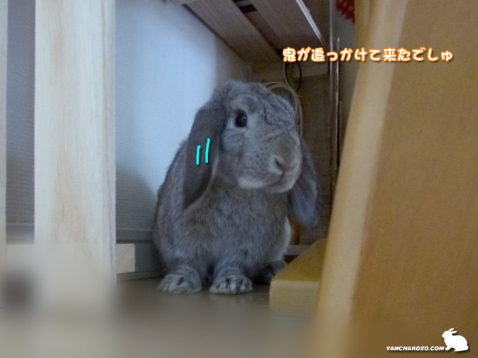 逃げ込むたるち