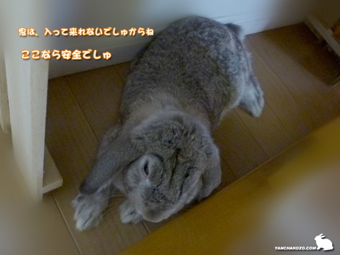 安心してまったり