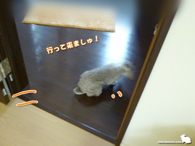跳び越え脱走