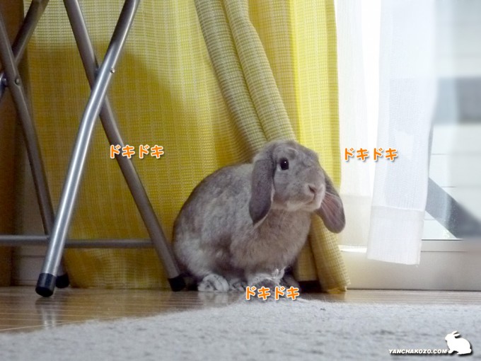 ドキドキたるち