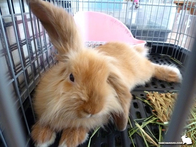 足見えないけど…