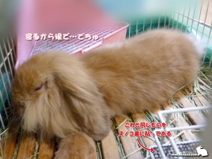 掃除は後で