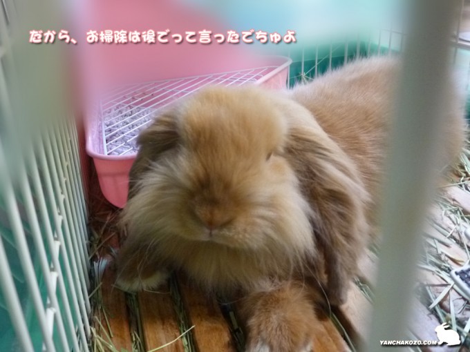 あとで！