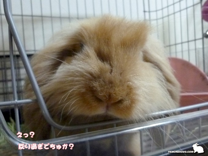 上げ過ぎ?