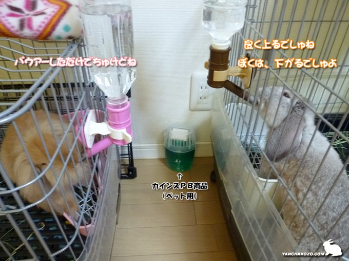 バウアーしただけでちゅ