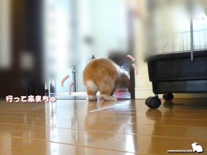 行って来まちゅ