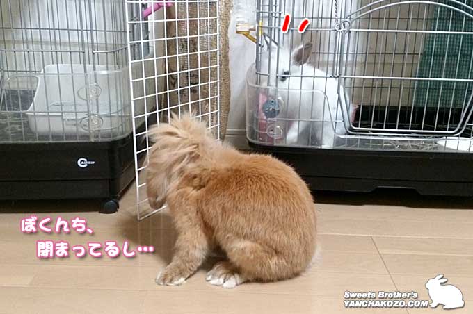 閉まってる