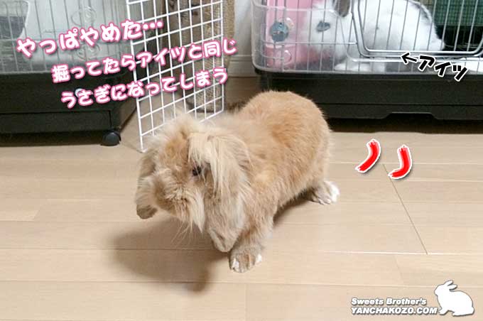 やめた
