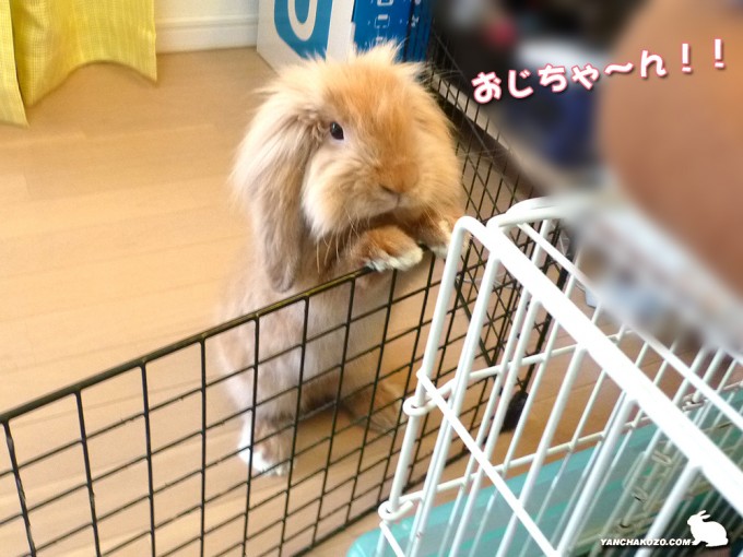 おじちゃ～ん！