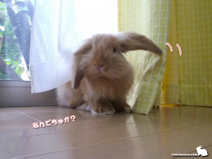 少し移動