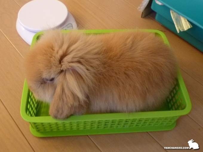 そろそろキツイかな