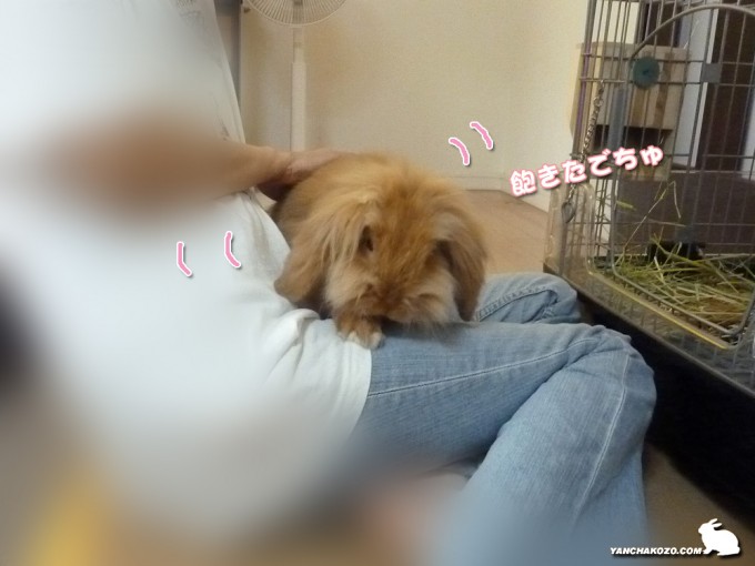 飽きたでちゅ