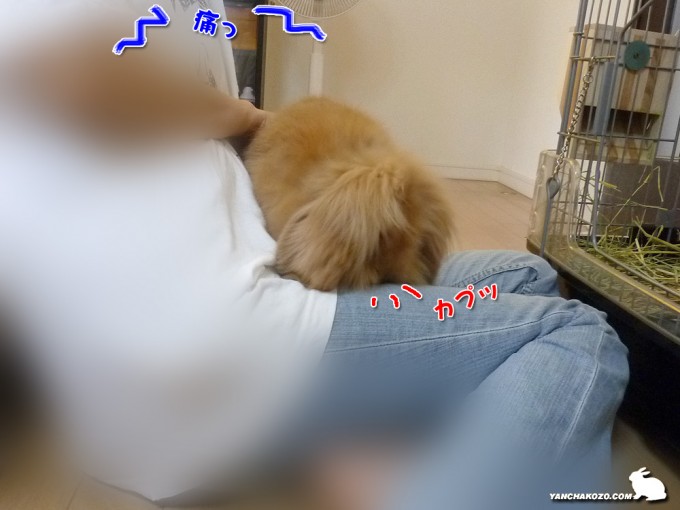 腿にカプッ