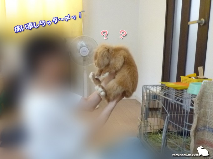 高い高いの刑