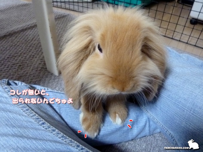 コレが無いとダメ