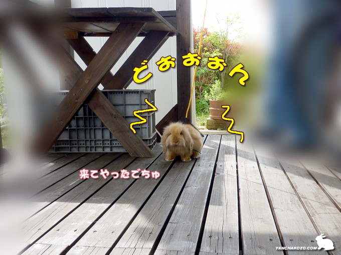 来てやったでちゅ