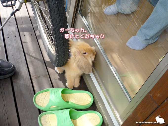 開けてくだちゃい