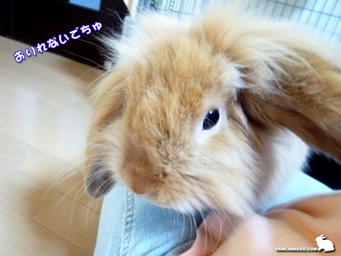 おりれまちぇん