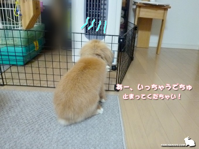 冷風扇にあたる